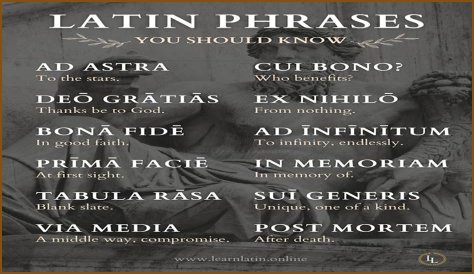 A Profile Of A Latin Beauty