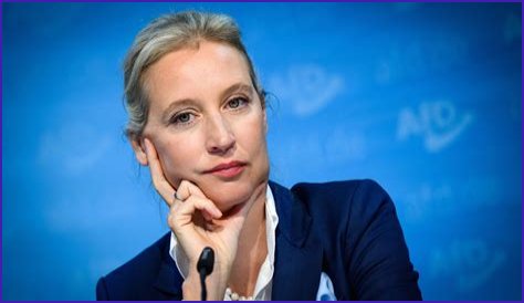 Alice Weidel Fortune
