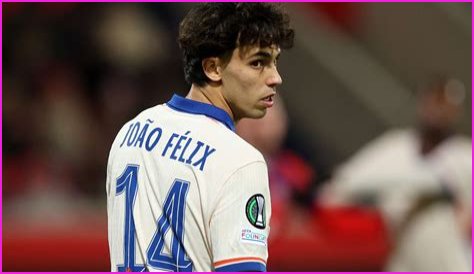 Felix Plötz Fortune